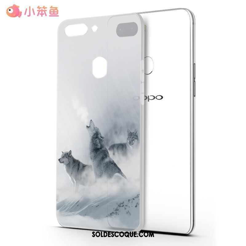 Coque Oppo R15 Téléphone Portable Incassable Blanc Tout Compris Délavé En Daim En Vente