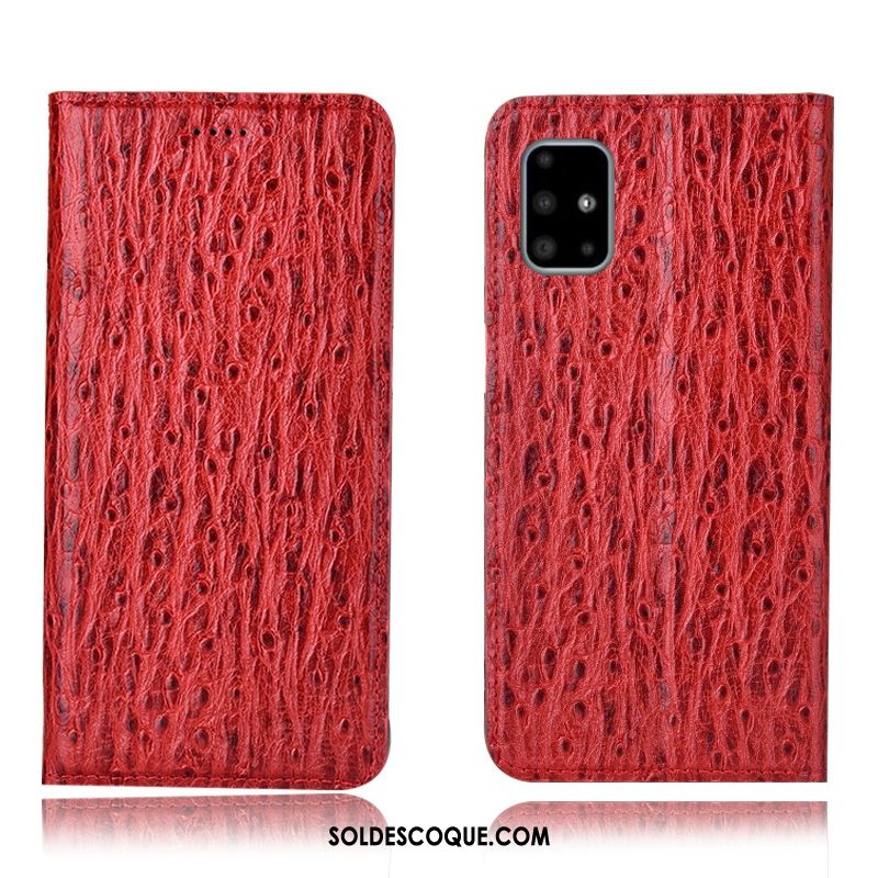 Coque Samsung Galaxy A71 Protection Incassable Oiseau Rouge Téléphone Portable Soldes