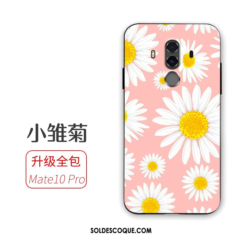 Coque Huawei Mate 10 Pro Incassable Fluide Doux Étui Téléphone Portable Tendance Soldes