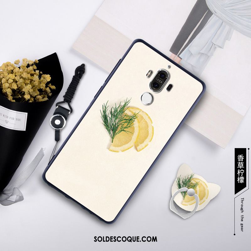 Coque Huawei Mate 10 Pro Multicolore Téléphone Portable Étui En Vente