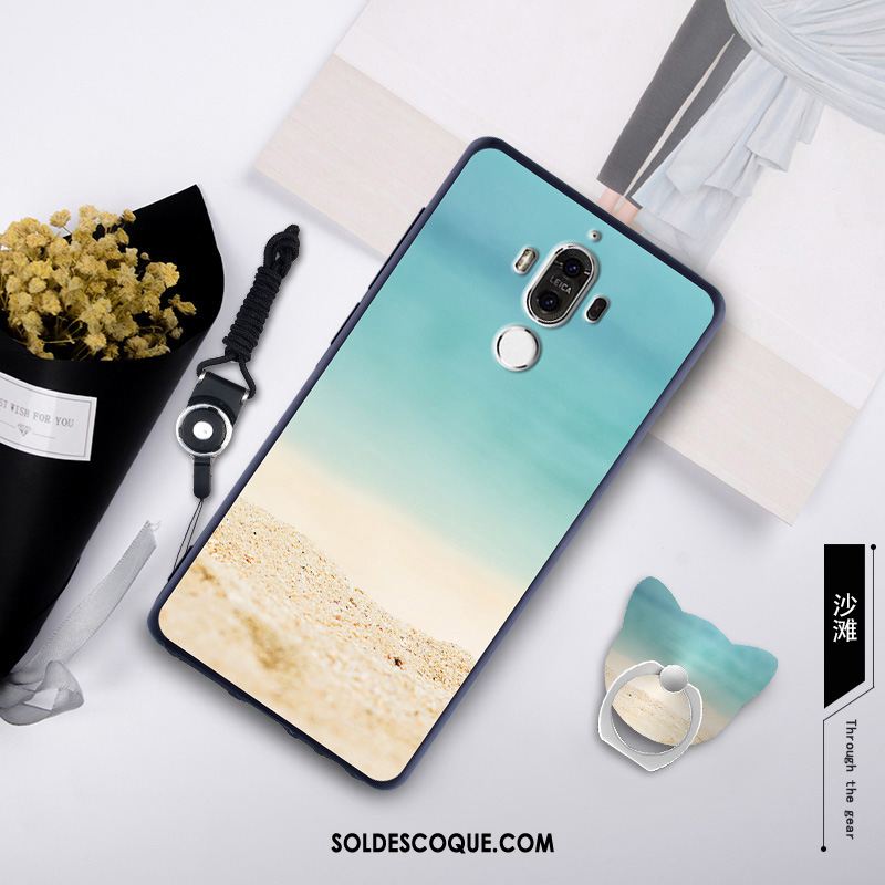 Coque Huawei Mate 10 Pro Multicolore Téléphone Portable Étui En Vente