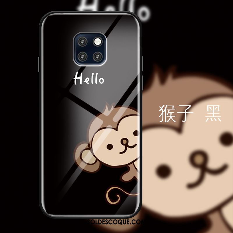 Coque Huawei Mate 20 Pro Tendance Singe Verre Trempé Miroir Blanc France