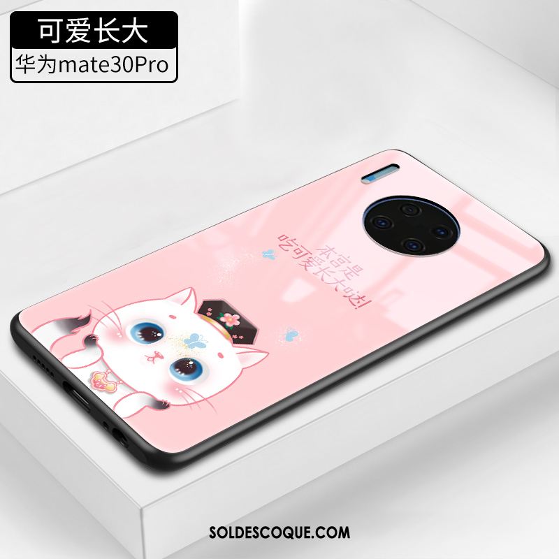 Coque Huawei Mate 30 Pro Vent Verre Marque De Tendance Chat Très Mince En Vente