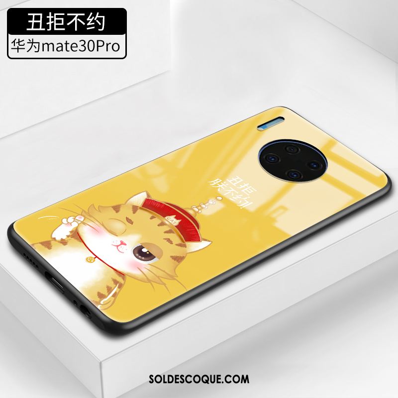 Coque Huawei Mate 30 Pro Vent Verre Marque De Tendance Chat Très Mince En Vente