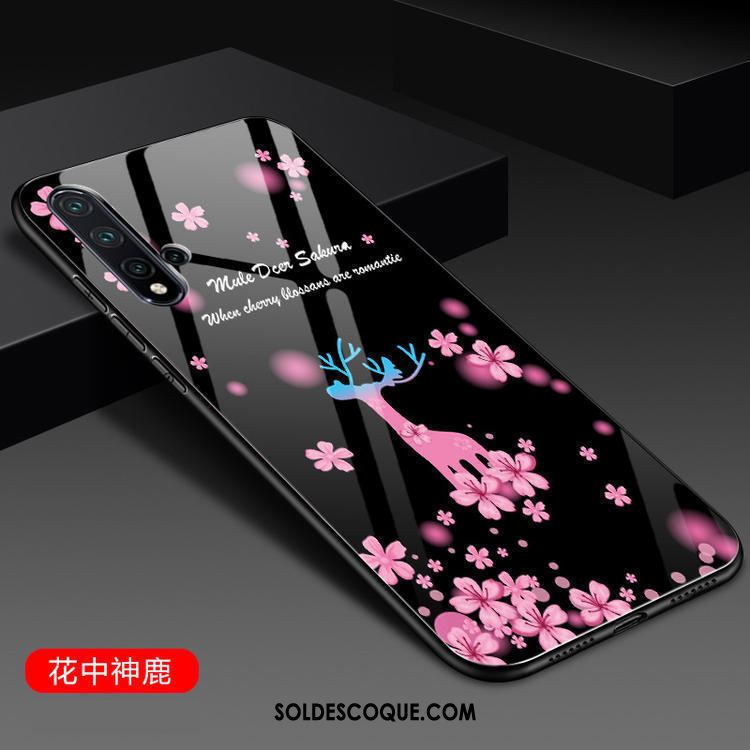 Coque Huawei Nova 5t Noir Verre Silicone Incassable Étui Pas Cher