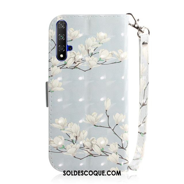 Coque Huawei Nova 5t Vert Dessin Animé Téléphone Portable Protection Tout Compris Soldes