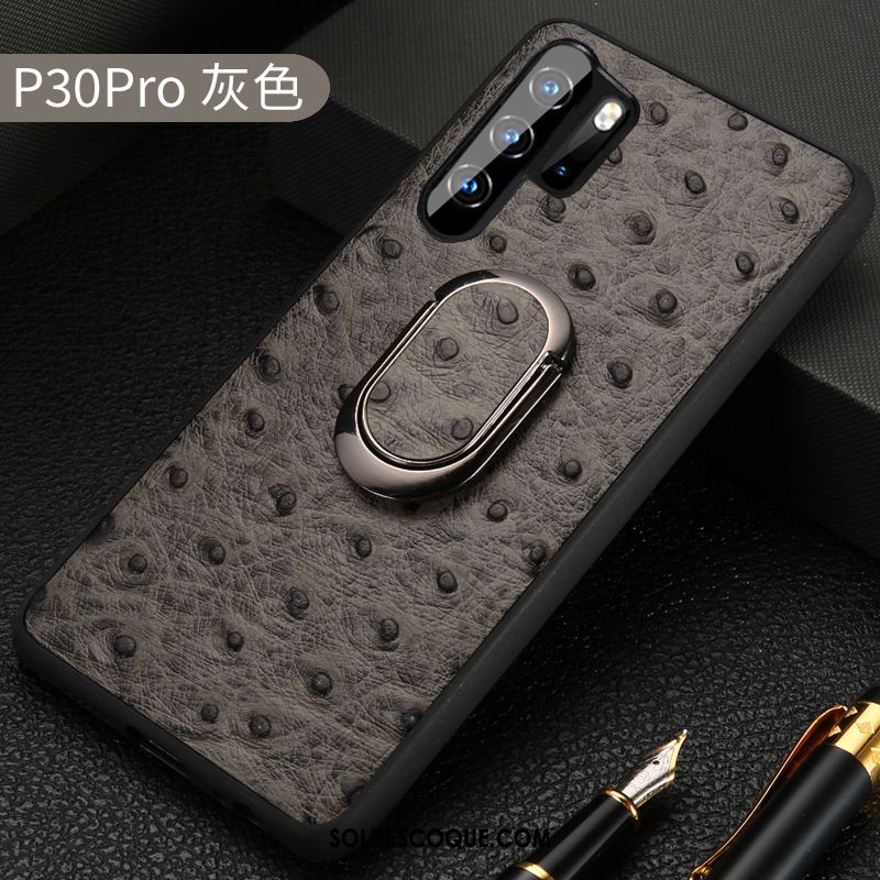 Coque Huawei P30 Pro Luxe Incassable Créatif Oiseau Protection En Vente