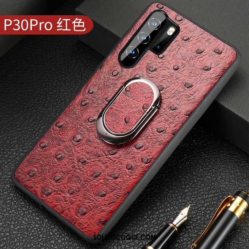 Coque Huawei P30 Pro Luxe Incassable Créatif Oiseau Protection En Vente