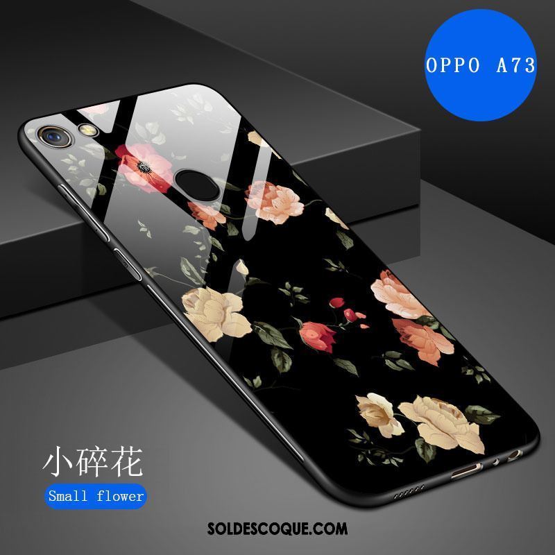 Coque Oppo A73 Téléphone Portable Verre Trempé Nouveau Haute Protection Soldes