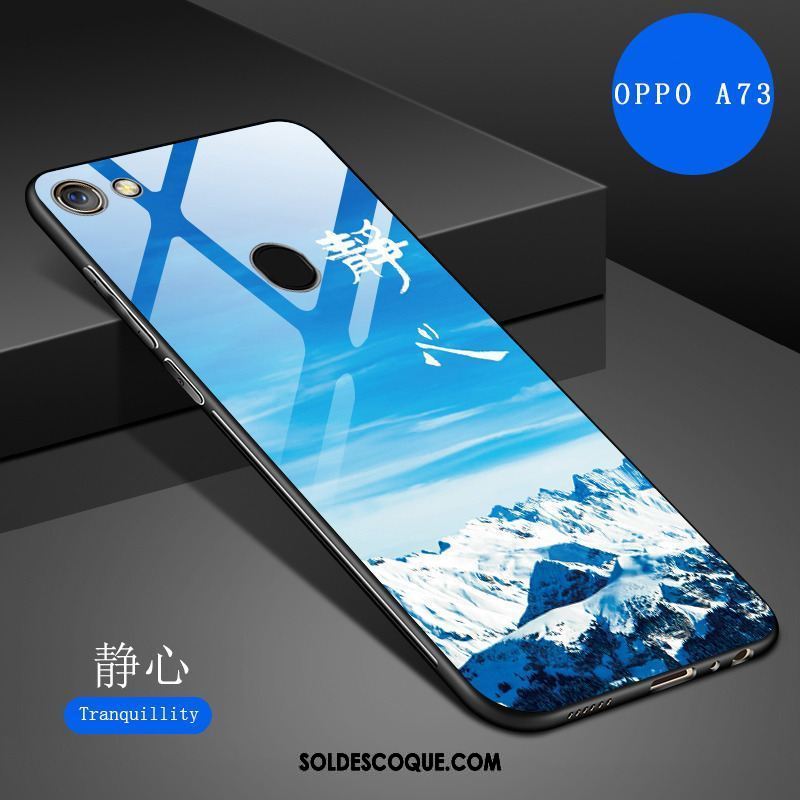 Coque Oppo A73 Téléphone Portable Verre Trempé Nouveau Haute Protection Soldes