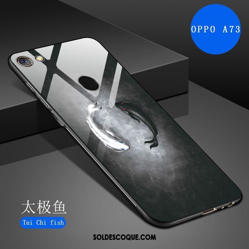 Coque Oppo A73 Téléphone Portable Verre Trempé Nouveau Haute Protection Soldes