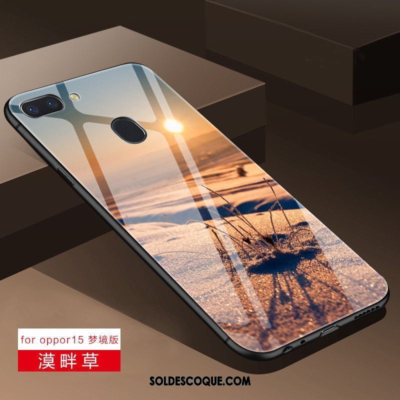 Coque Oppo R15 Fluide Doux Incassable Frais Petit Personnalité Housse Pas Cher