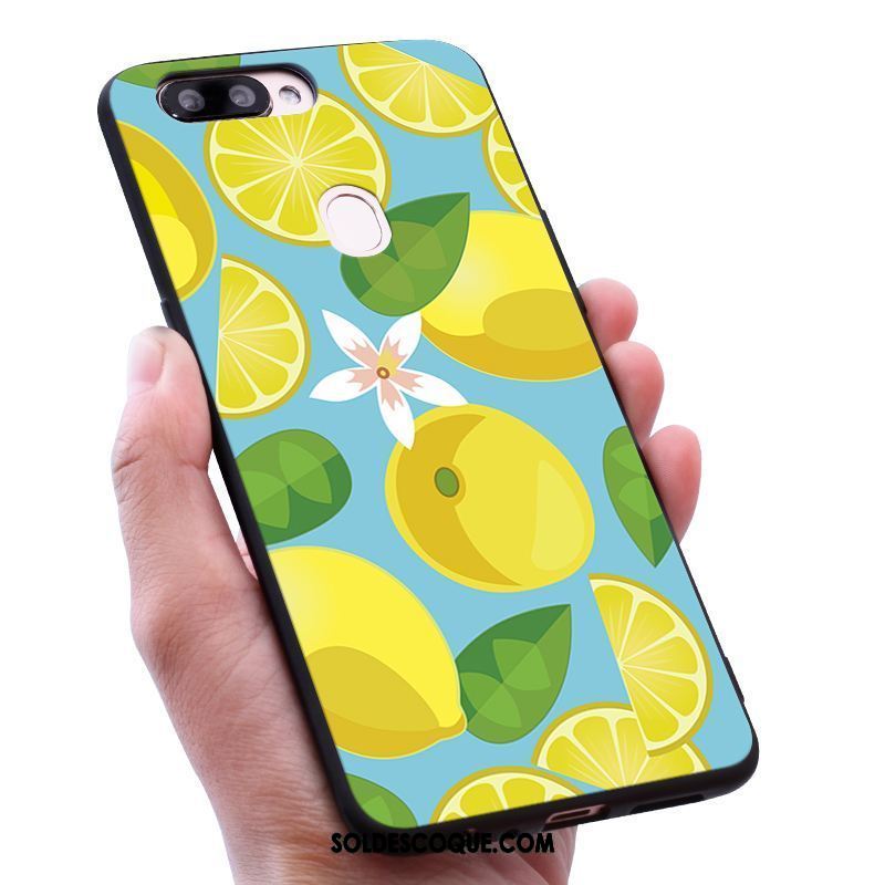 Coque Oppo R15 Pro Frais Téléphone Portable Fluide Doux Fruit Étui Soldes