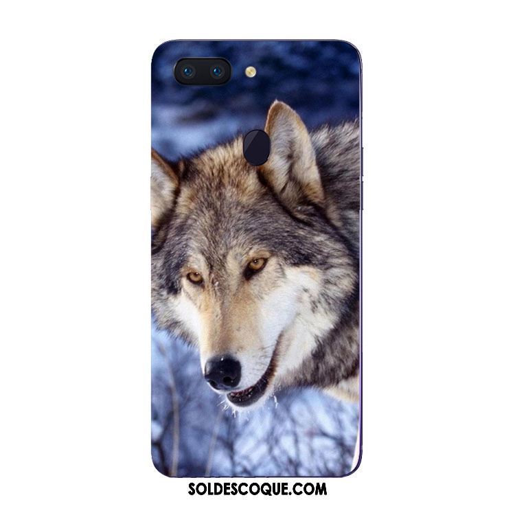 Coque Oppo R15 Pro Protection Tendance Silicone Animal Étui En Vente