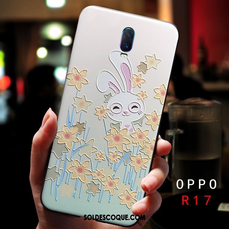 Coque Oppo R17 Gaufrage Animal Difficile Charmant Silicone Pas Cher