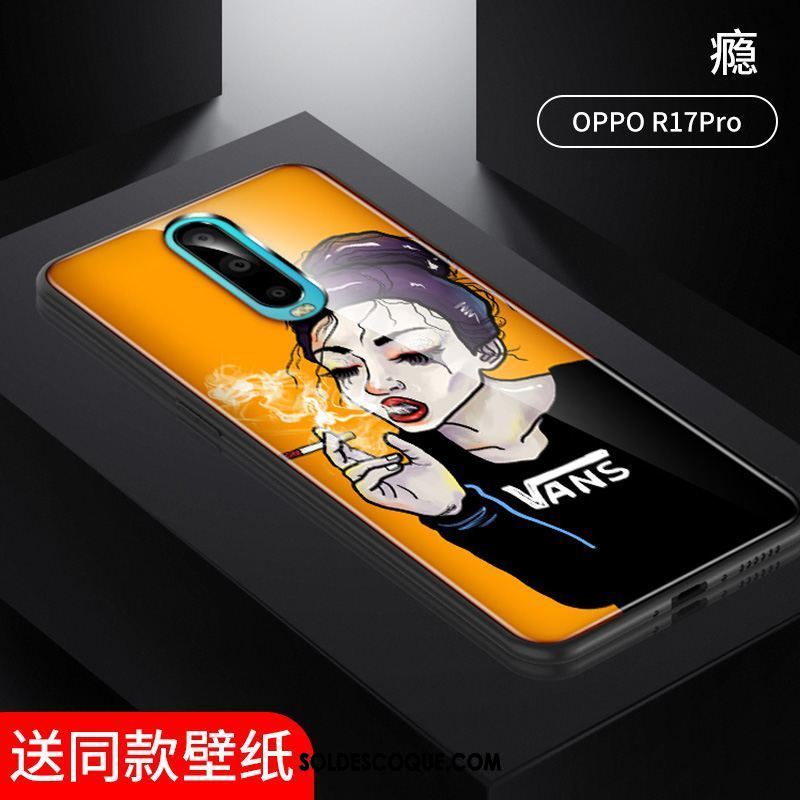 Coque Oppo R17 Pro Drôle Téléphone Portable Protection Clair Peinte À La Main Pas Cher