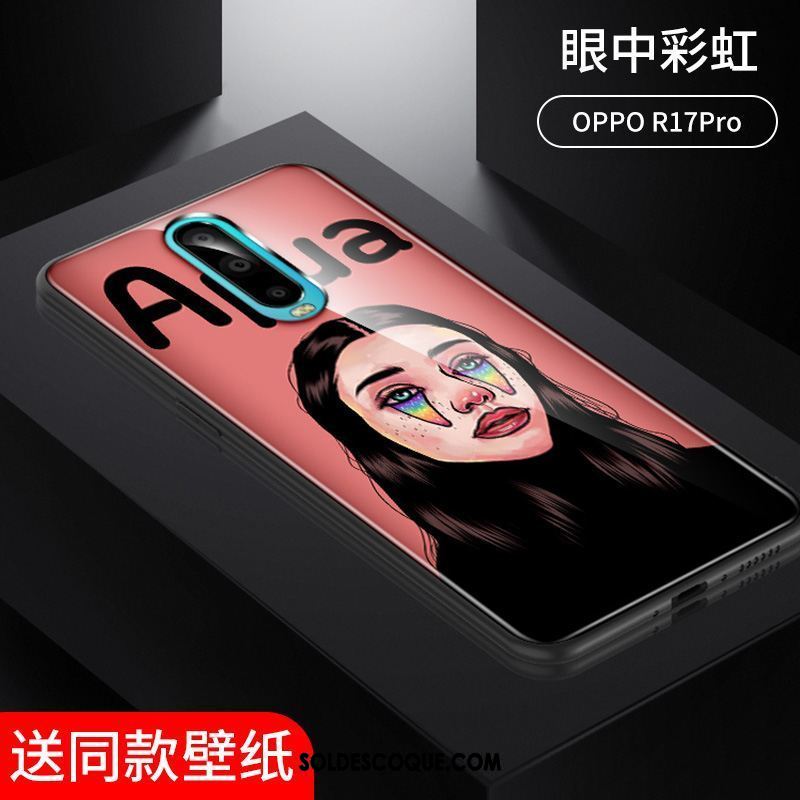 Coque Oppo R17 Pro Drôle Téléphone Portable Protection Clair Peinte À La Main Pas Cher