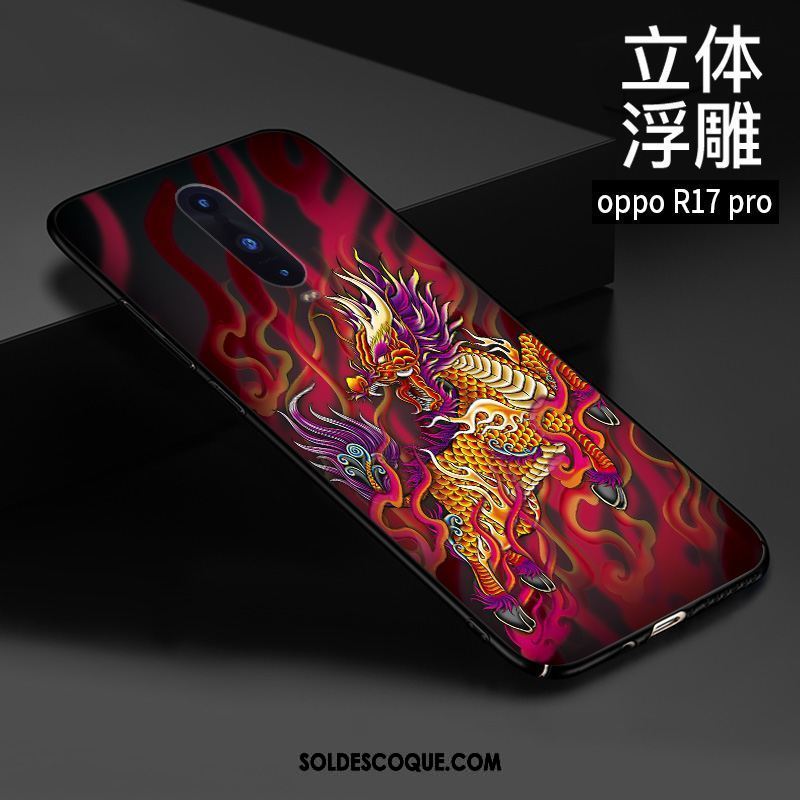 Coque Oppo R17 Pro Téléphone Portable Protection Tendance Style Chinois Gaufrage Pas Cher