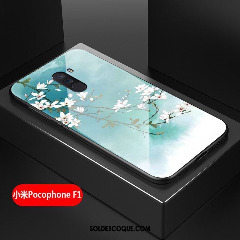 Coque Pocophone F1 Verre Incassable Art Tout Compris Difficile Pas Cher