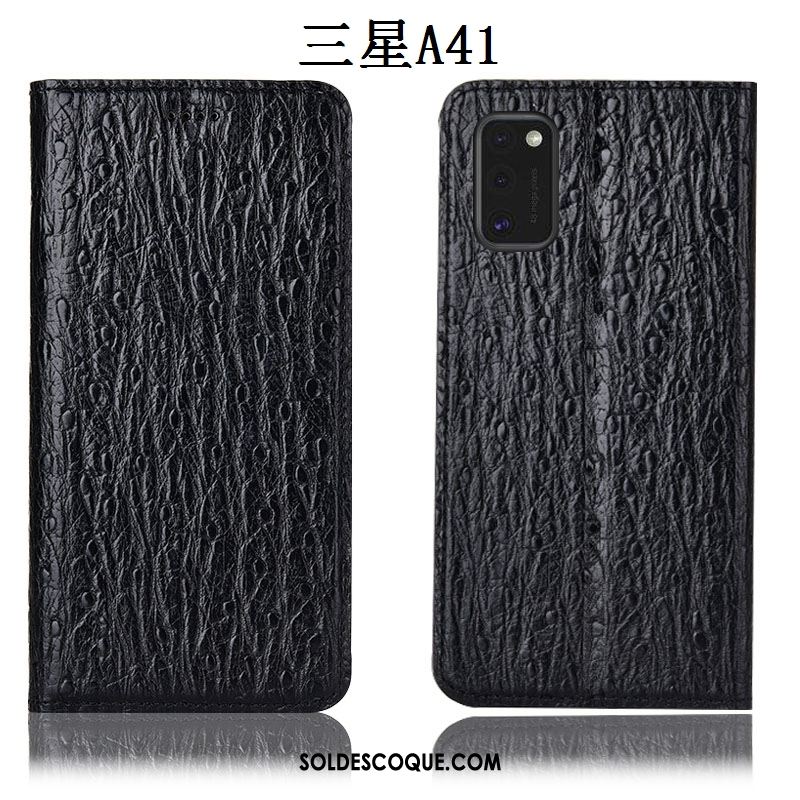 Coque Samsung Galaxy A41 Étui En Cuir Oiseau Protection Incassable Étoile Housse En Ligne