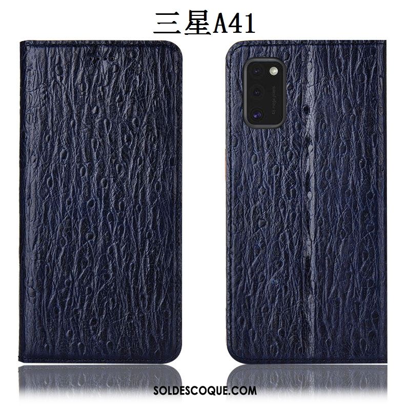 Coque Samsung Galaxy A41 Étui En Cuir Oiseau Protection Incassable Étoile Housse En Ligne