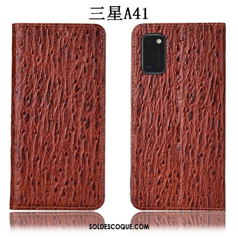 Coque Samsung Galaxy A41 Étui En Cuir Oiseau Protection Incassable Étoile Housse En Ligne