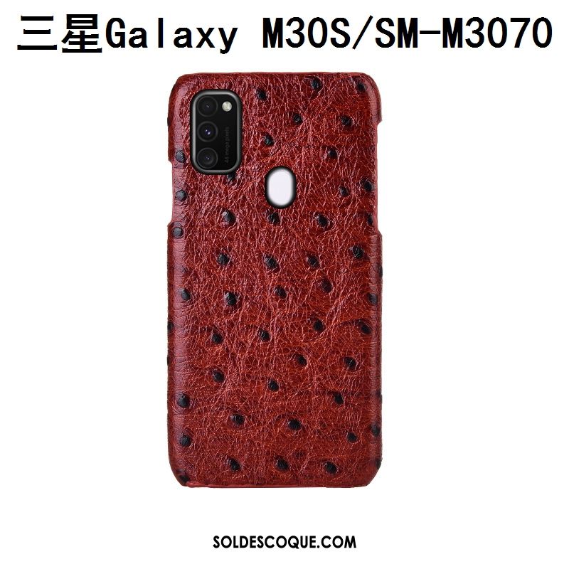 Coque Samsung Galaxy M30s Cuir Véritable Étui Téléphone Portable Étoile Protection Soldes