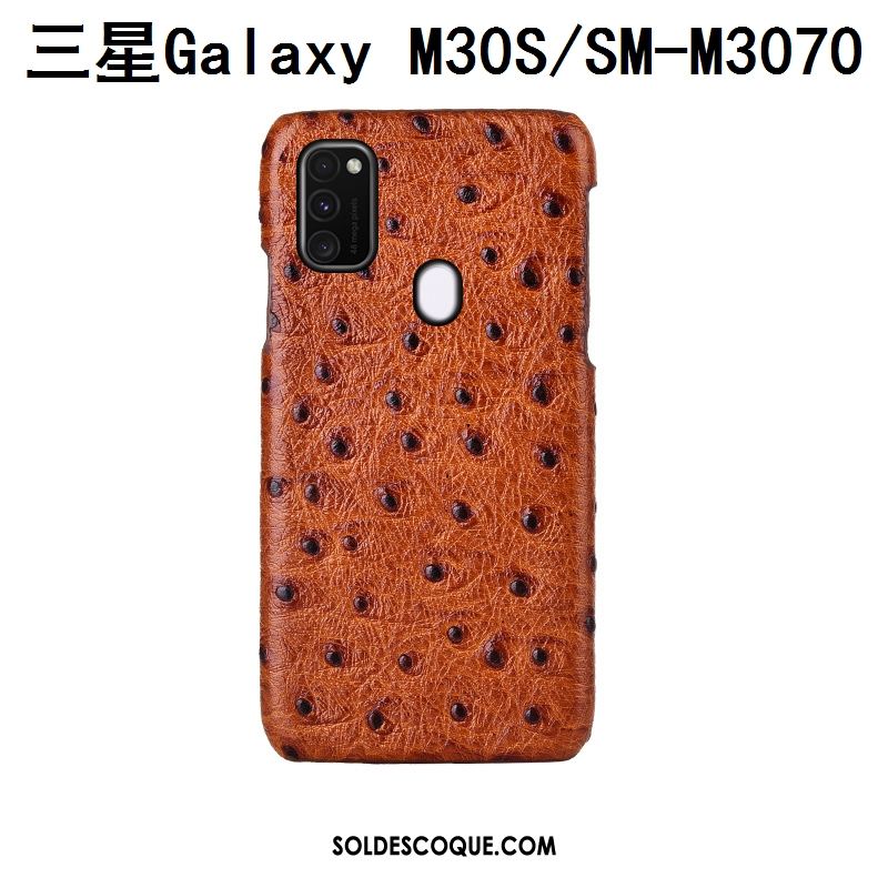 Coque Samsung Galaxy M30s Cuir Véritable Étui Téléphone Portable Étoile Protection Soldes