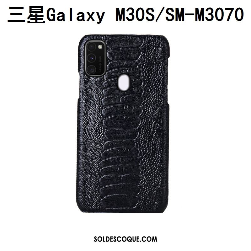 Coque Samsung Galaxy M30s Personnalisé Protection Incassable Oiseau Cuir Véritable En Vente