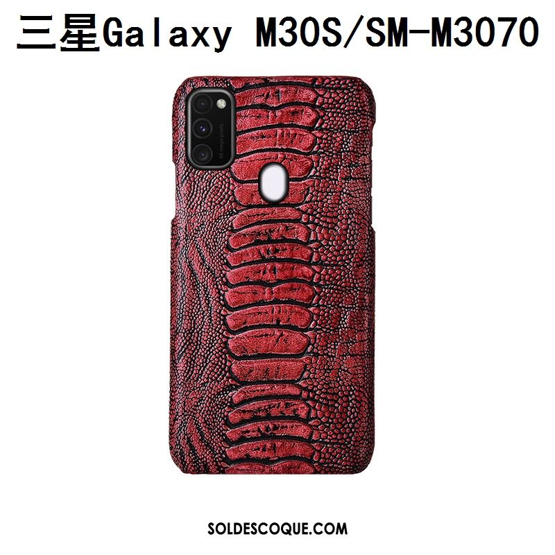 Coque Samsung Galaxy M30s Personnalisé Protection Incassable Oiseau Cuir Véritable En Vente