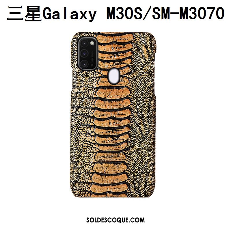 Coque Samsung Galaxy M30s Personnalisé Protection Incassable Oiseau Cuir Véritable En Vente