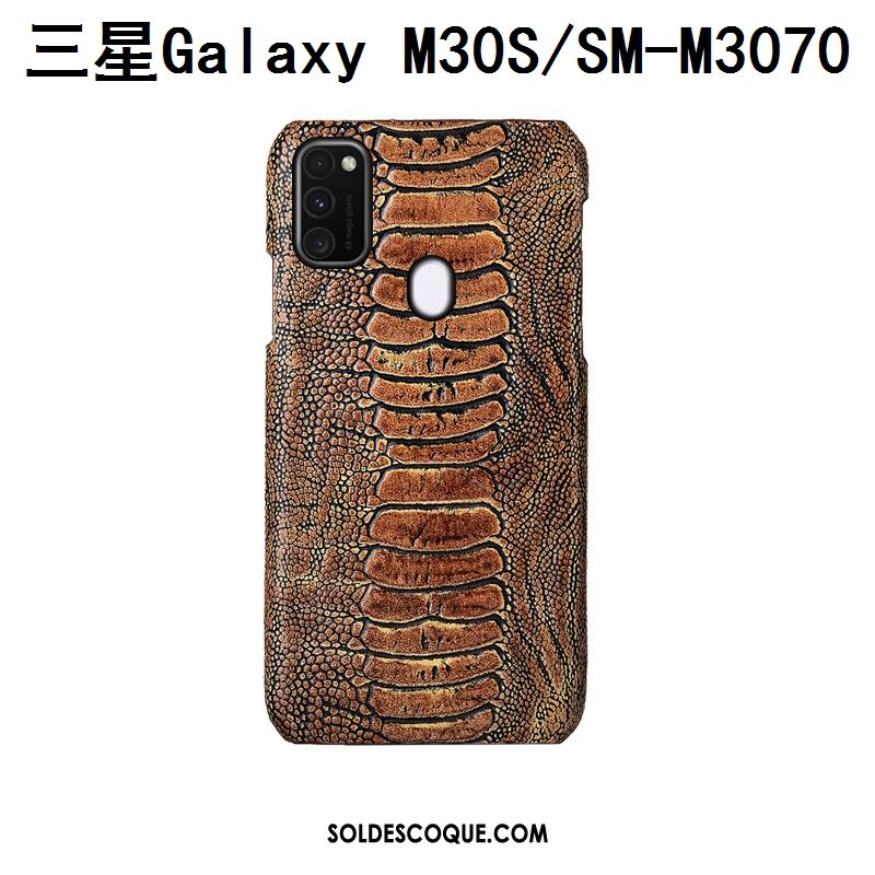 Coque Samsung Galaxy M30s Personnalisé Protection Incassable Oiseau Cuir Véritable En Vente