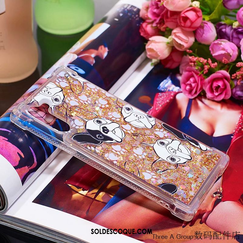 Coque Samsung Galaxy Note 10 Protection Étoile Incassable Tout Compris Fluide Doux France