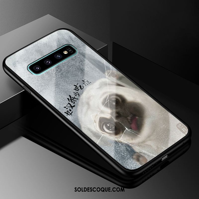 Coque Samsung Galaxy S10 Protection Tout Compris Étui Étoile Europe Pas Cher