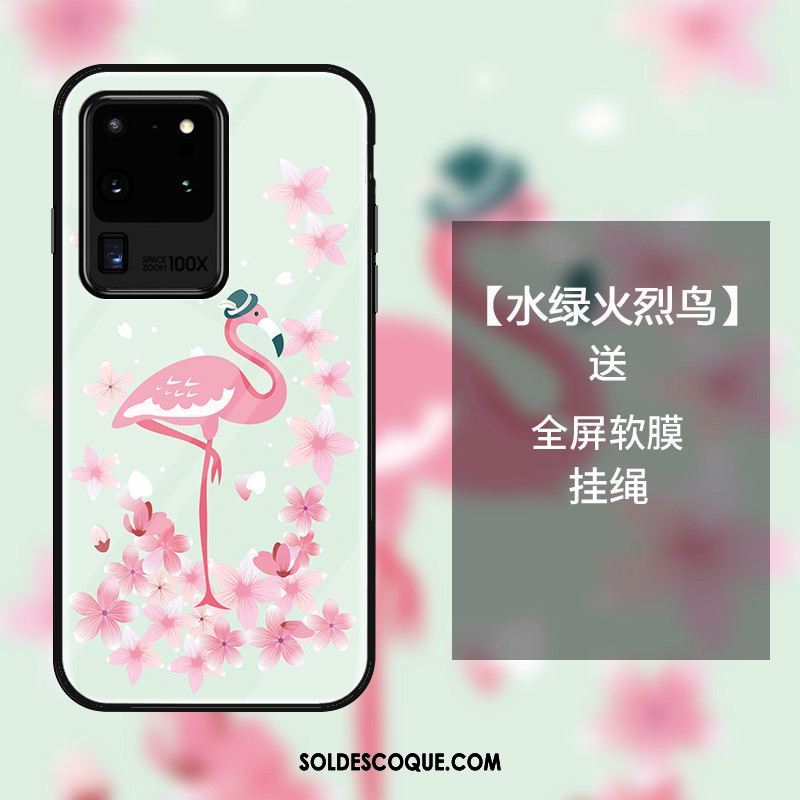 Coque Samsung Galaxy S20 Ultra Incassable Téléphone Portable Dessin Animé Fluide Doux Verre En Vente