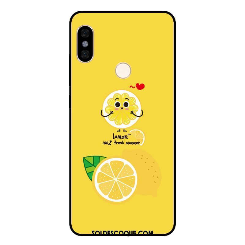 Coque Xiaomi Redmi Note 5 Téléphone Portable Petit Frais Fruit Art Pas Cher