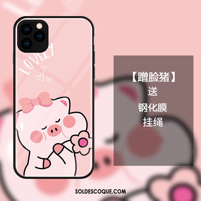 Coque iPhone 11 Pro Max Incassable Tout Compris Charmant Rose Verre En Vente