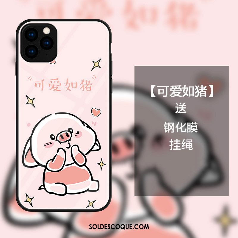 Coque iPhone 11 Pro Max Incassable Tout Compris Charmant Rose Verre En Vente