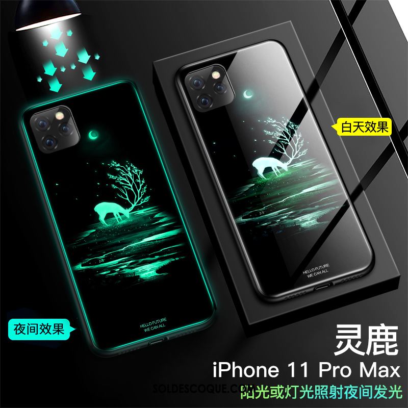 Coque iPhone 11 Pro Max Nouveau Miroir Incassable Tendance Tout Compris Soldes