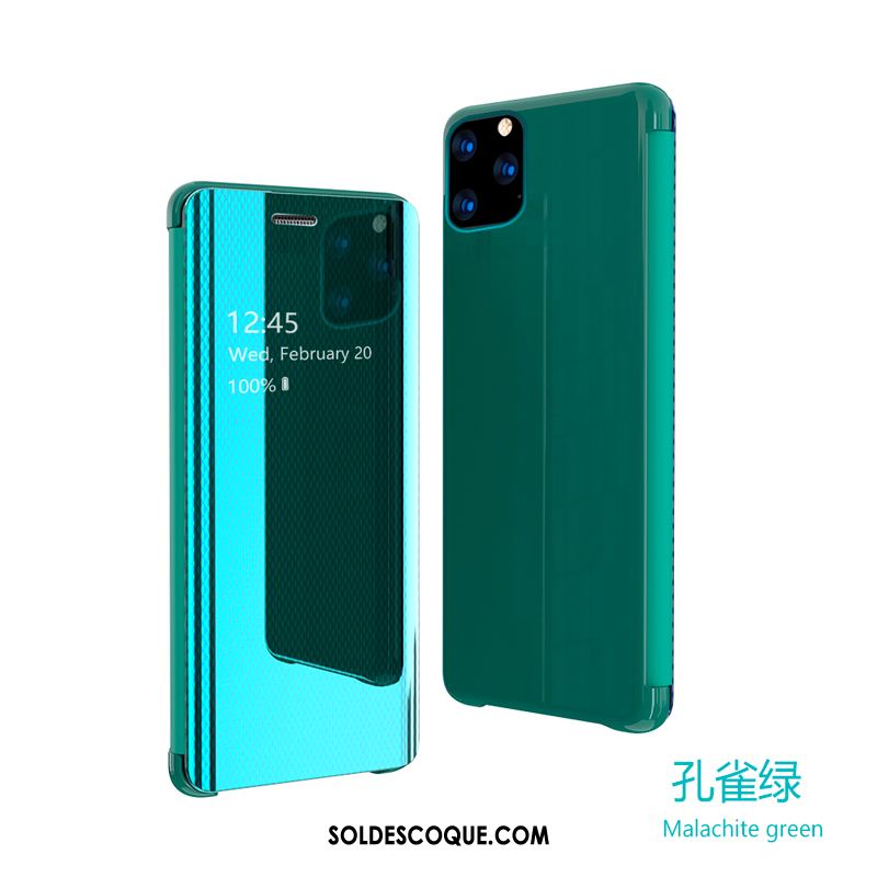 Coque iPhone 11 Pro Max Étui En Cuir Élégant Argent Transparent Tout Compris En Vente