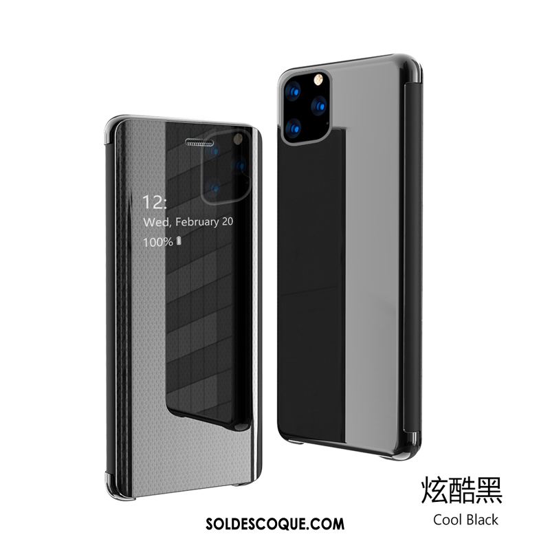 Coque iPhone 11 Pro Max Étui En Cuir Élégant Argent Transparent Tout Compris En Vente