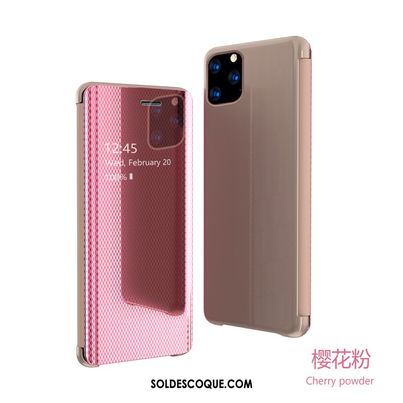 Coque iPhone 11 Pro Max Étui En Cuir Élégant Argent Transparent Tout Compris En Vente