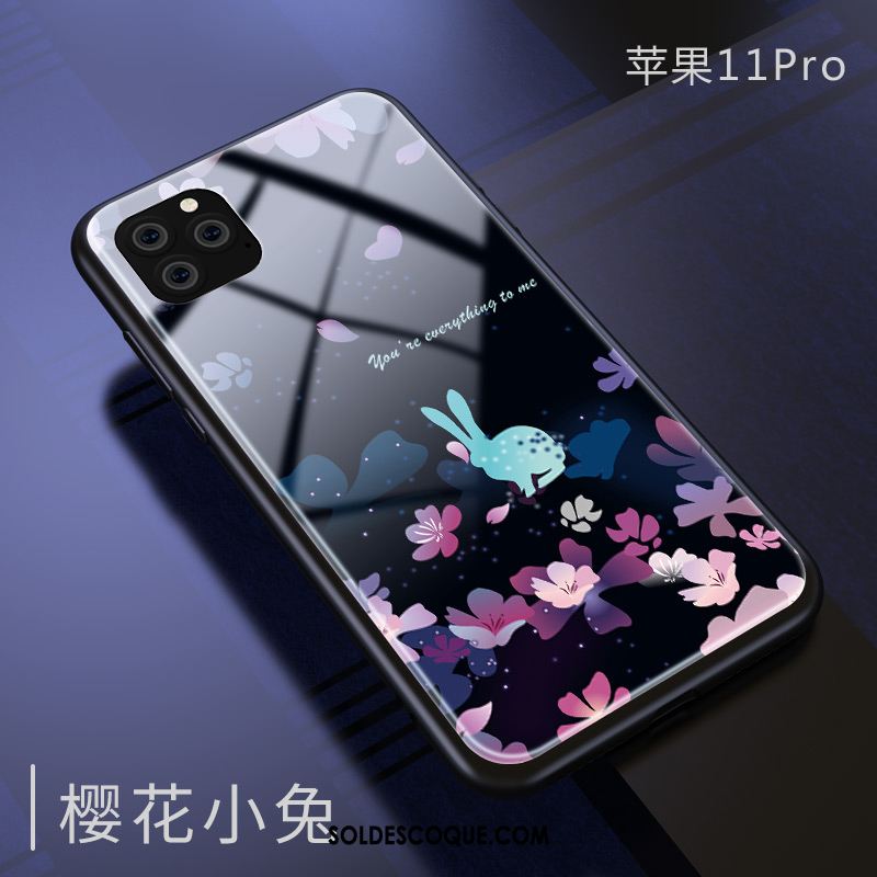 Coque iPhone 11 Pro Nouveau Étui Marque De Tendance Protection Verre France