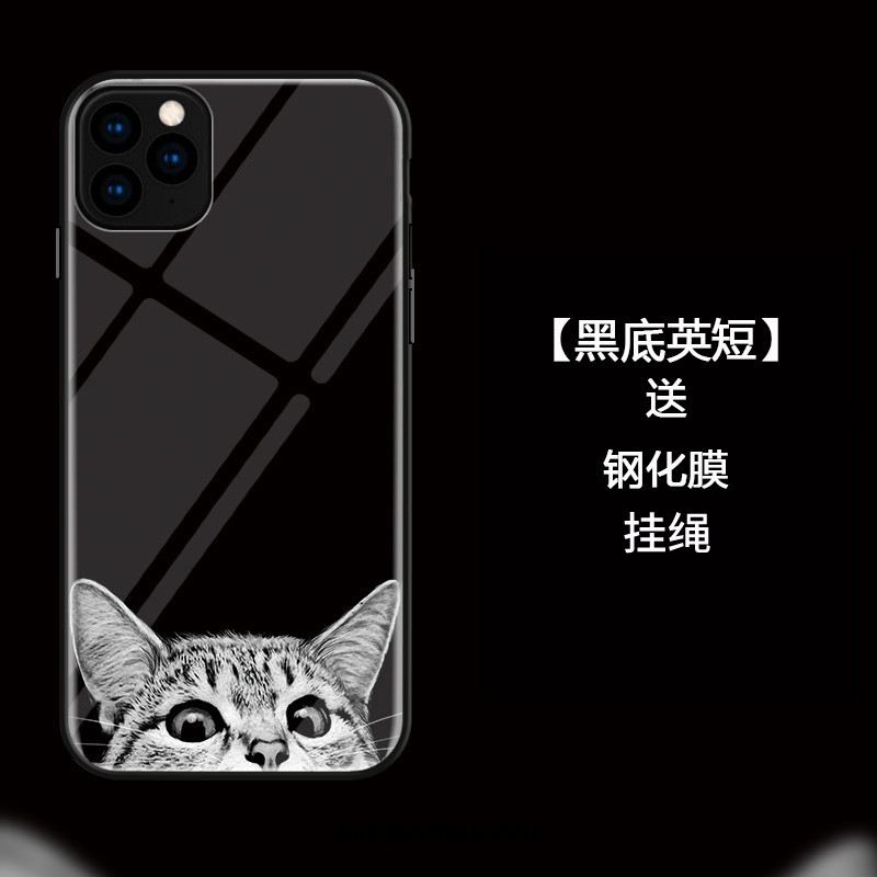 Coque iPhone 11 Pro Tout Compris Chat Protection Verre Incassable France