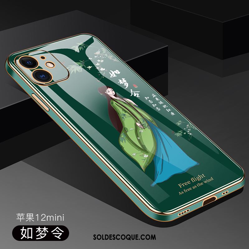 Coque iPhone 12 Mini Téléphone Portable Silicone Tendance Transparent Protection Housse En Ligne