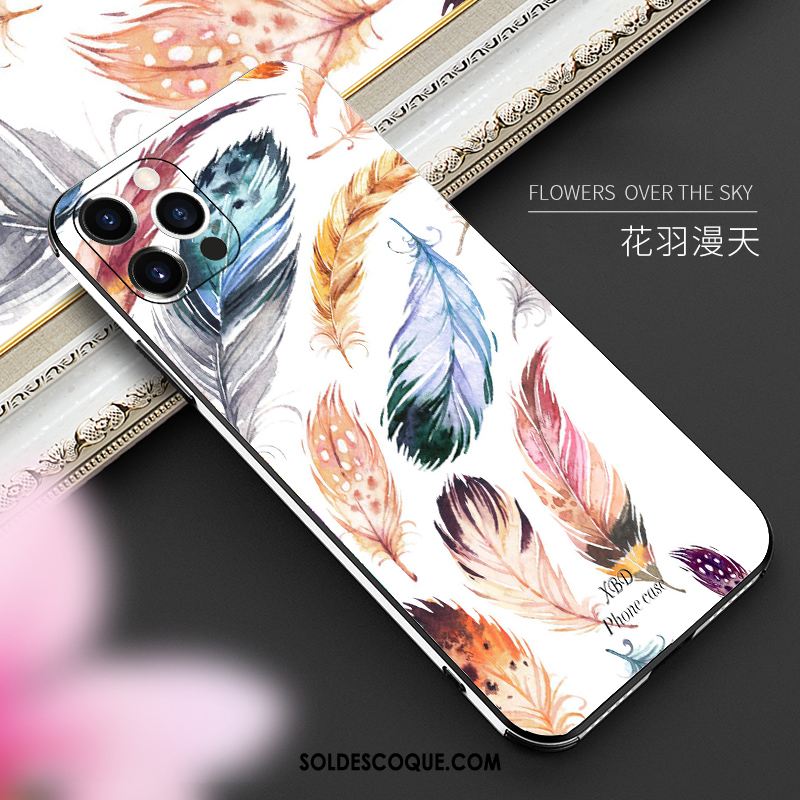 Coque iPhone 12 Pro Créatif Nouveau Verre Incassable Personnalité Soldes