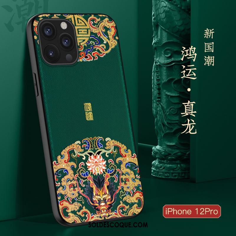 Coque iPhone 12 Pro Protection Très Mince Style Chinois Nouveau Téléphone Portable Housse Soldes