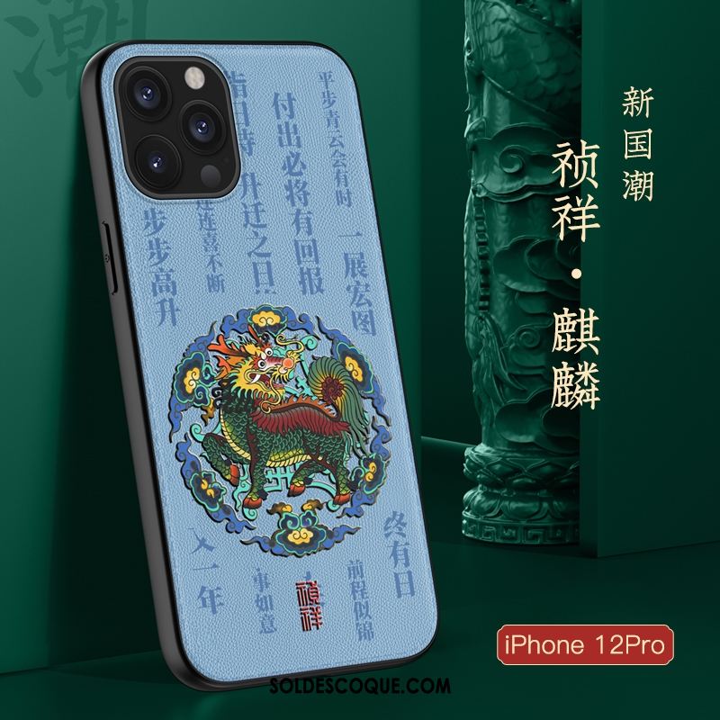 Coque iPhone 12 Pro Protection Très Mince Style Chinois Nouveau Téléphone Portable Housse Soldes