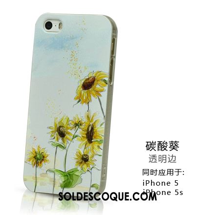 Coque iPhone 5 / 5s Protection Blanc Frais Téléphone Portable Incassable Pas Cher