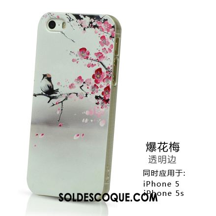 Coque iPhone 5 / 5s Protection Blanc Frais Téléphone Portable Incassable Pas Cher